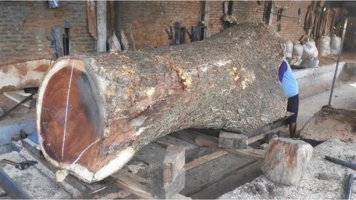 Processing the log in sawmill