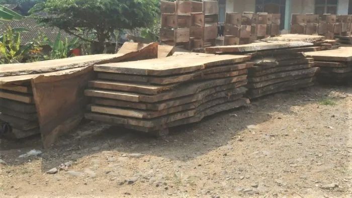 Live edge wood slab