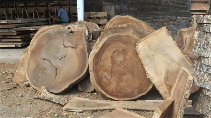 Live edge wood slab